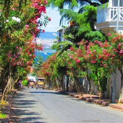 istanbul-adalar-turu_13
